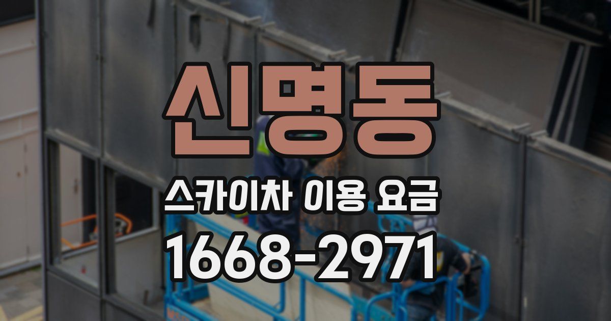 신명동 스카이차 이용 요금