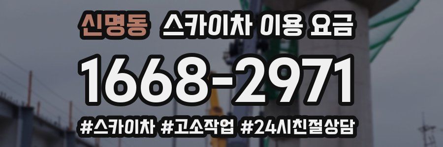 신명동 스카이차 이용 요금