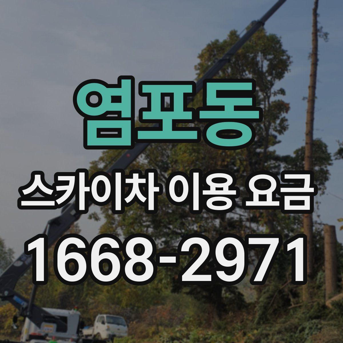 염포동 스카이차 이용 요금