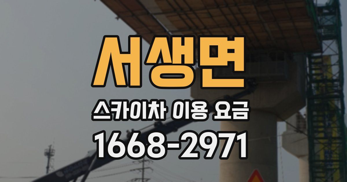 서생면 스카이차 이용 요금