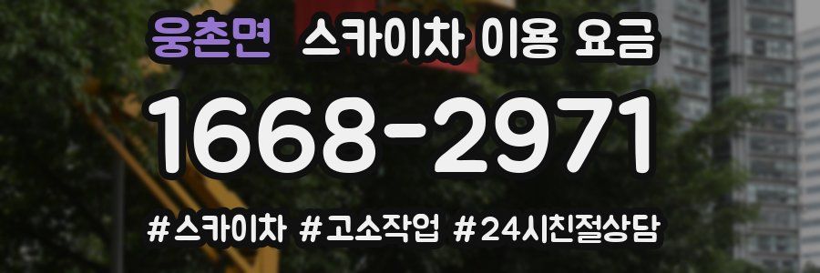 웅촌면 스카이차 이용 요금
