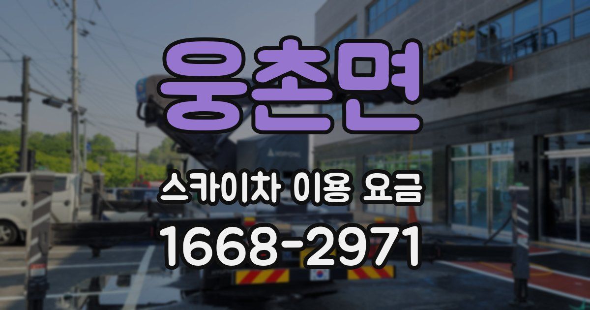 웅촌면 스카이차 이용 요금