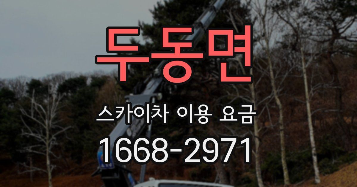 두동면 스카이차 이용 요금