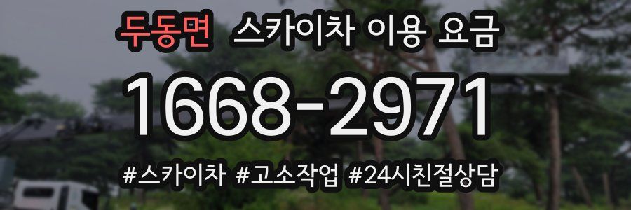 두동면 스카이차 이용 요금