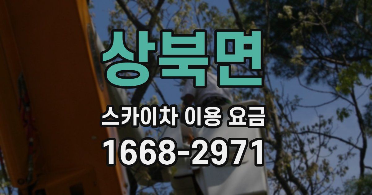 상북면 스카이차 이용 요금