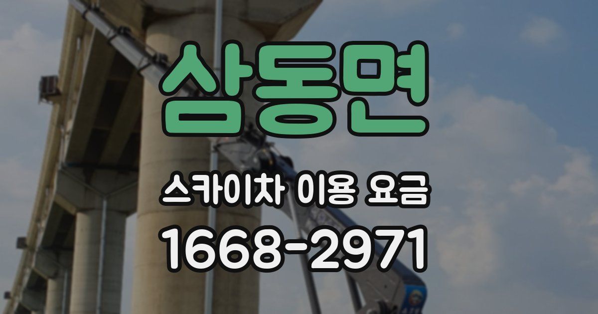 삼동면 스카이차 이용 요금