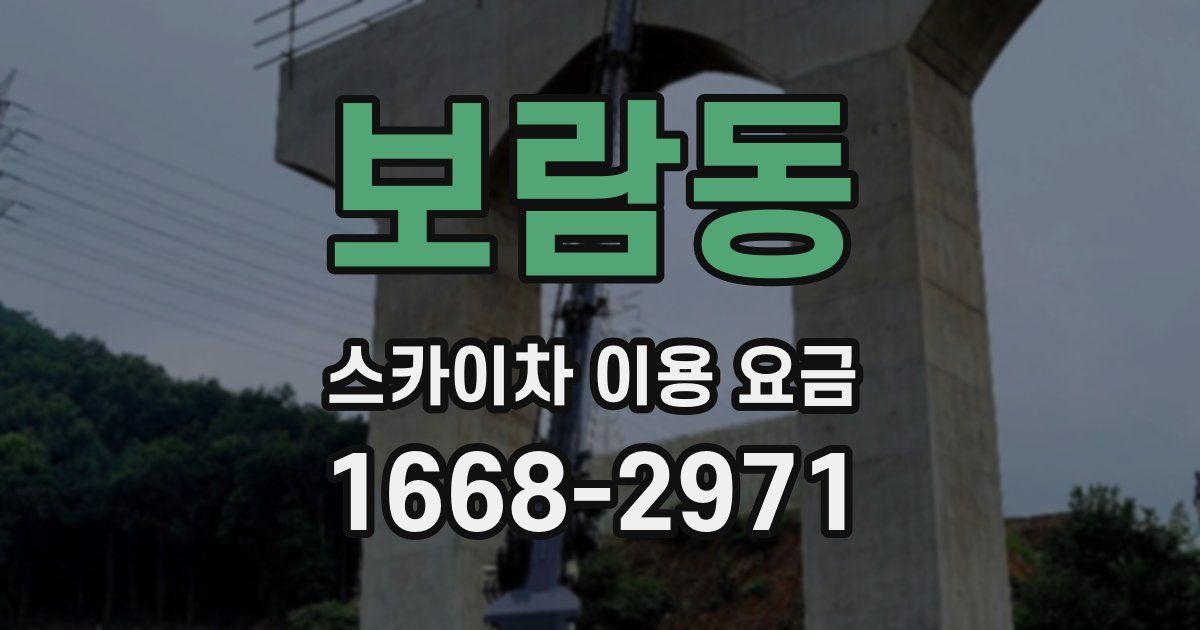 보람동 스카이차 이용 요금