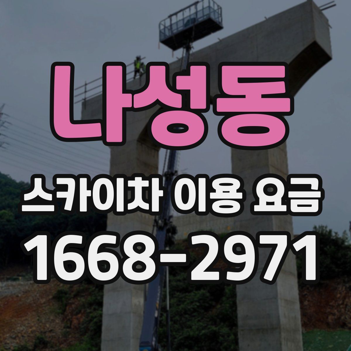 나성동 스카이차 이용 요금