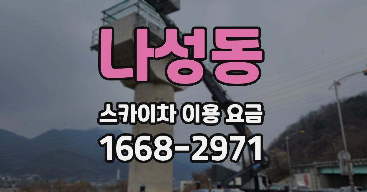 나성동 스카이차 이용 요금