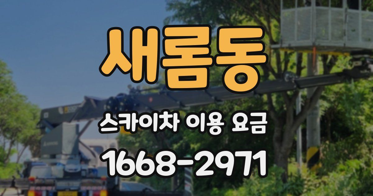 새롬동 스카이차 이용 요금