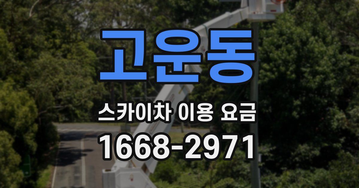 고운동 스카이차 이용 요금