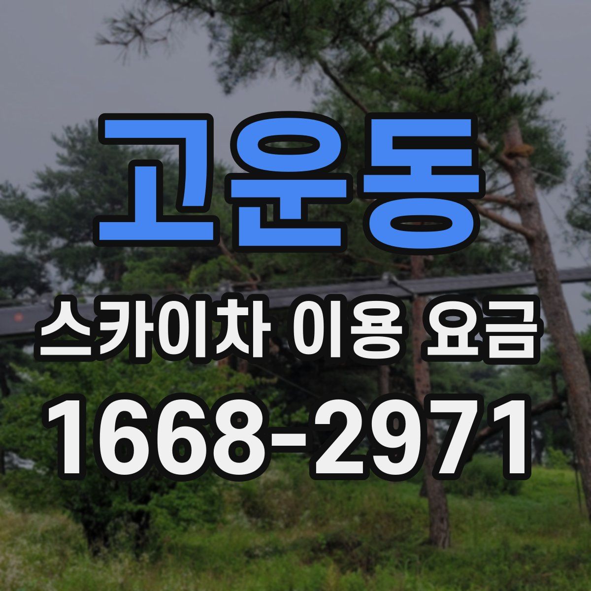 고운동 스카이차 이용 요금
