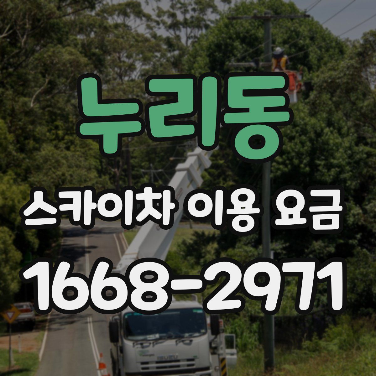 누리동 스카이차 이용 요금