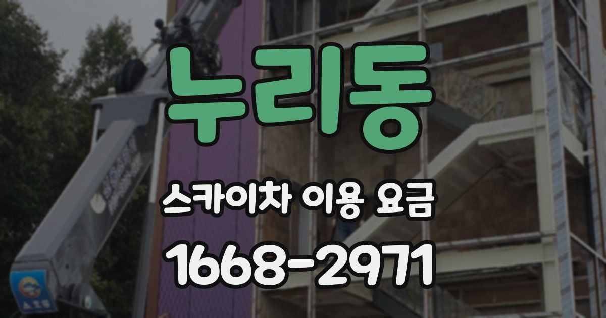 누리동 스카이차 이용 요금