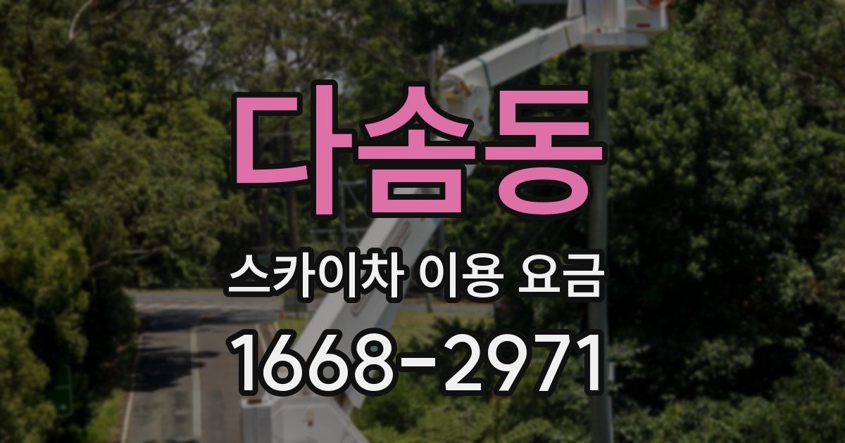 다솜동 스카이차 이용 요금