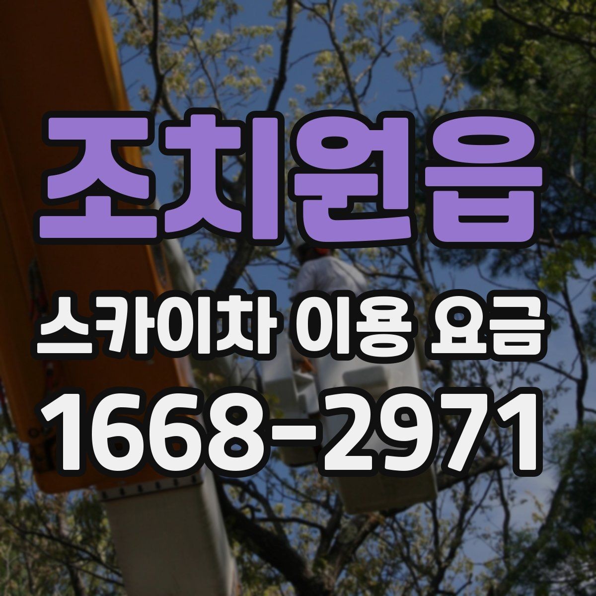 조치원읍 스카이차 이용 요금 산정 방식과 문의 전 체크포인트