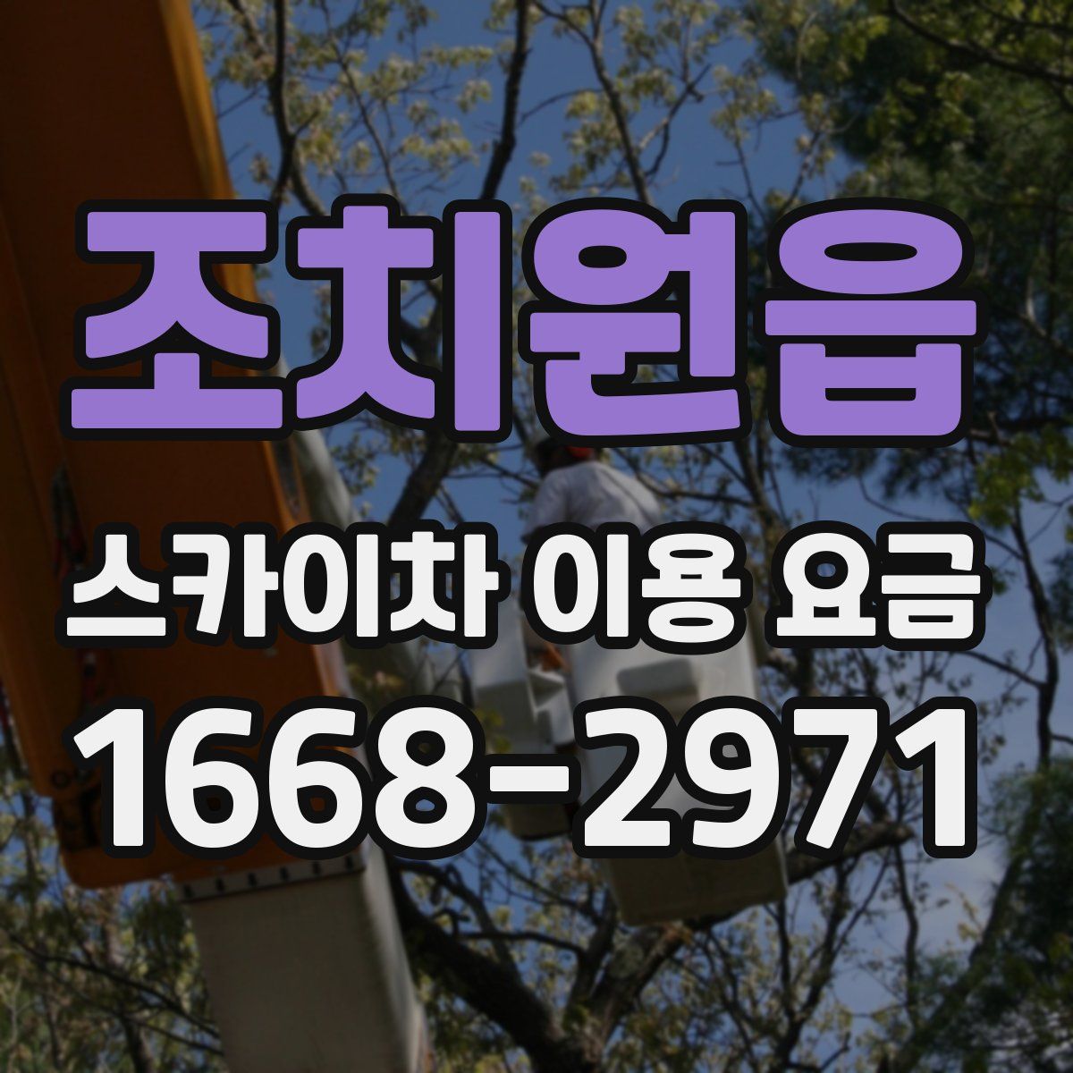 조치원읍 스카이차 이용 요금