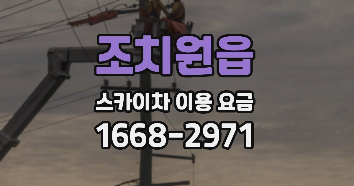 조치원읍 스카이차 이용 요금