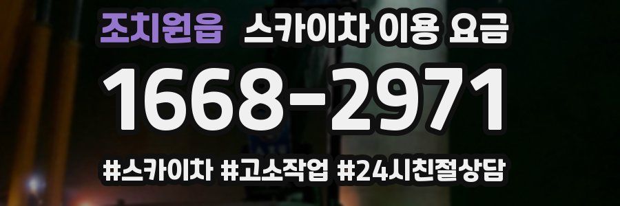조치원읍 스카이차 이용 요금