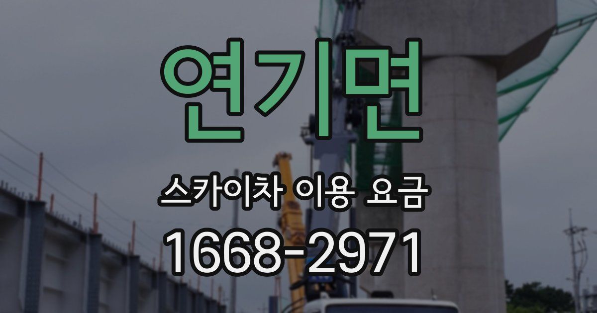 연기면 스카이차 이용 요금