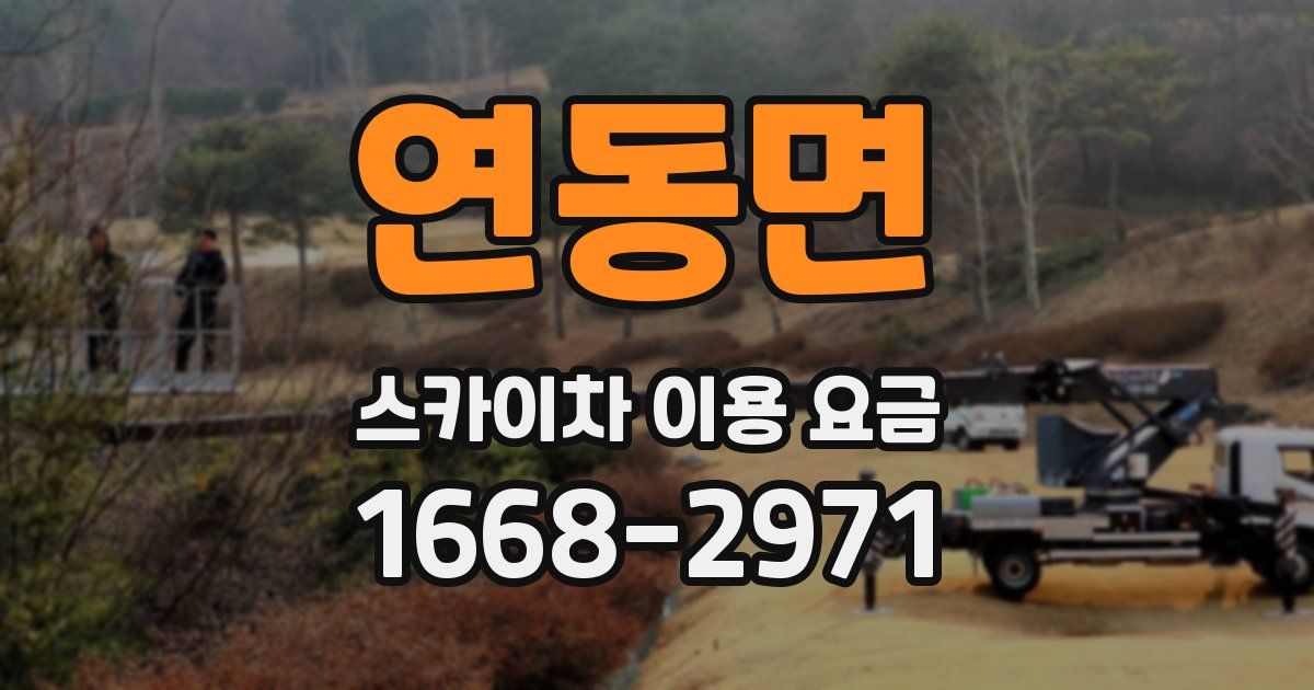 연동면 스카이차 이용 요금