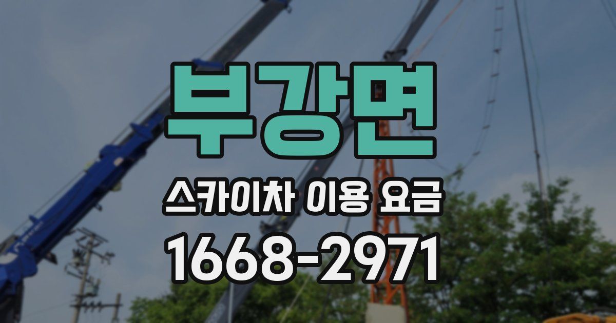 부강면 스카이차 이용 요금