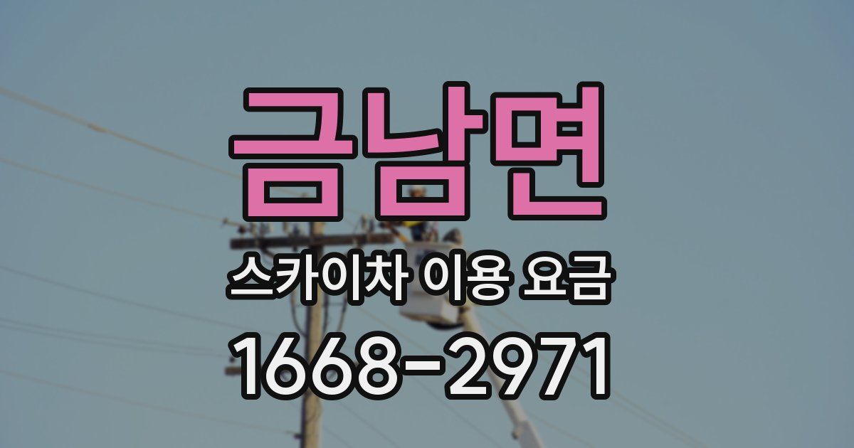 금남면 스카이차 이용 요금