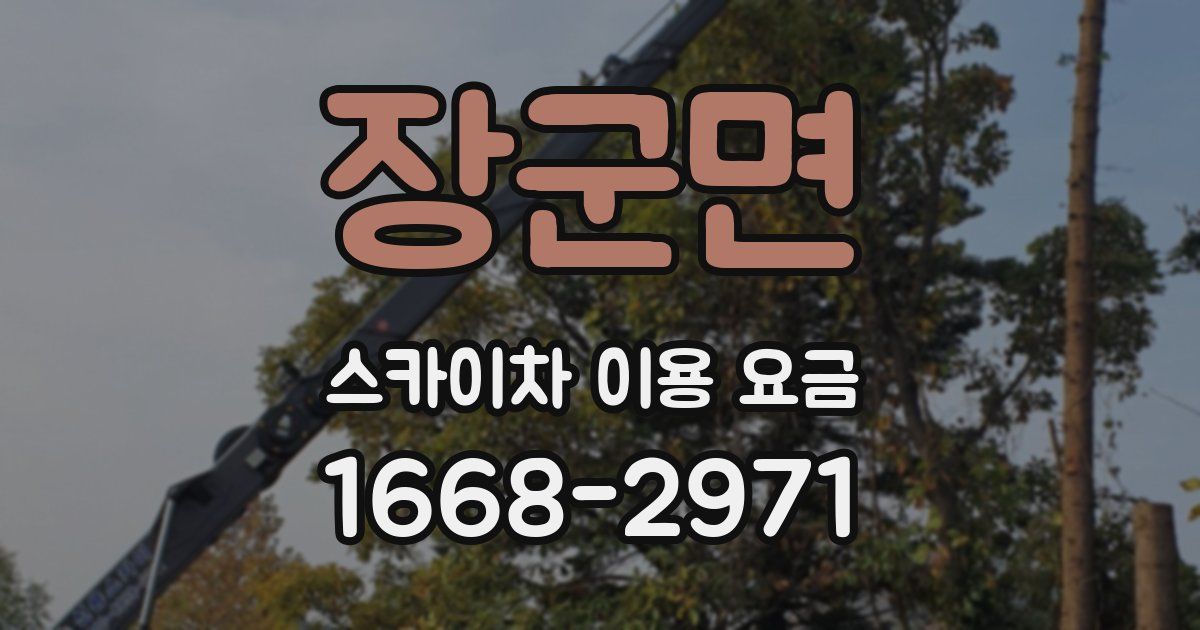 장군면 스카이차 이용 요금