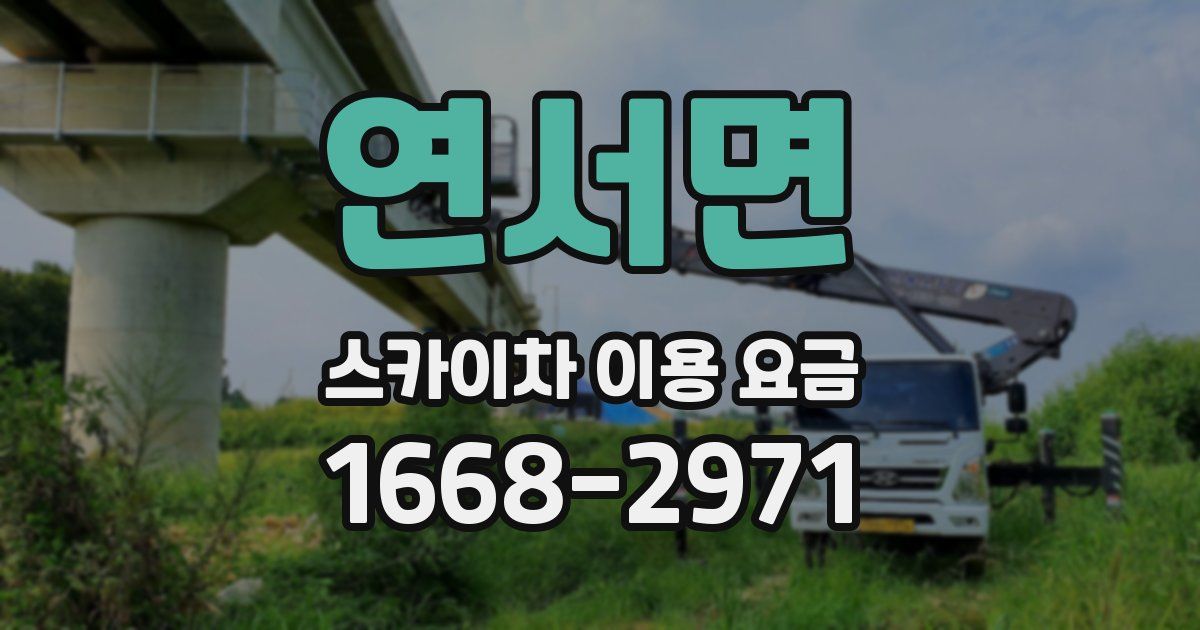 연서면 스카이차 이용 요금
