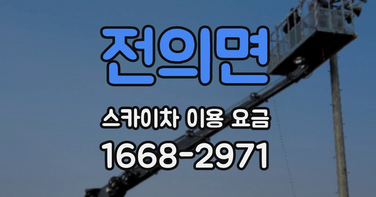 전의면 스카이차 이용 요금