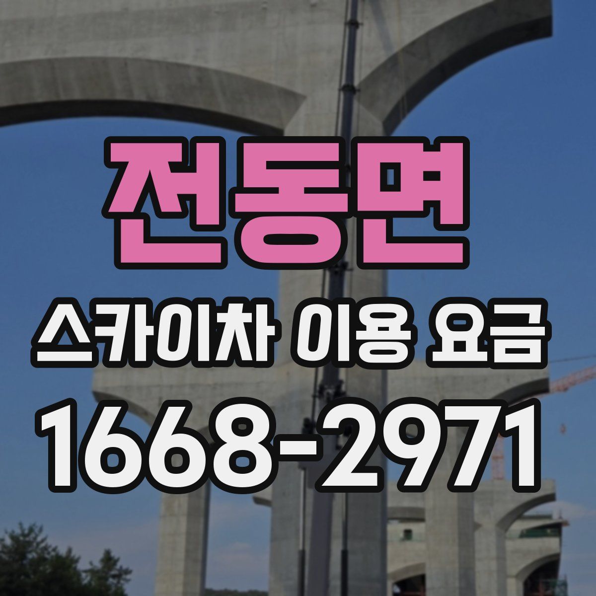 전동면 스카이차 이용 요금