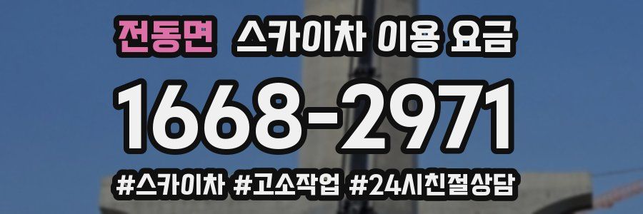 전동면 스카이차 이용 요금