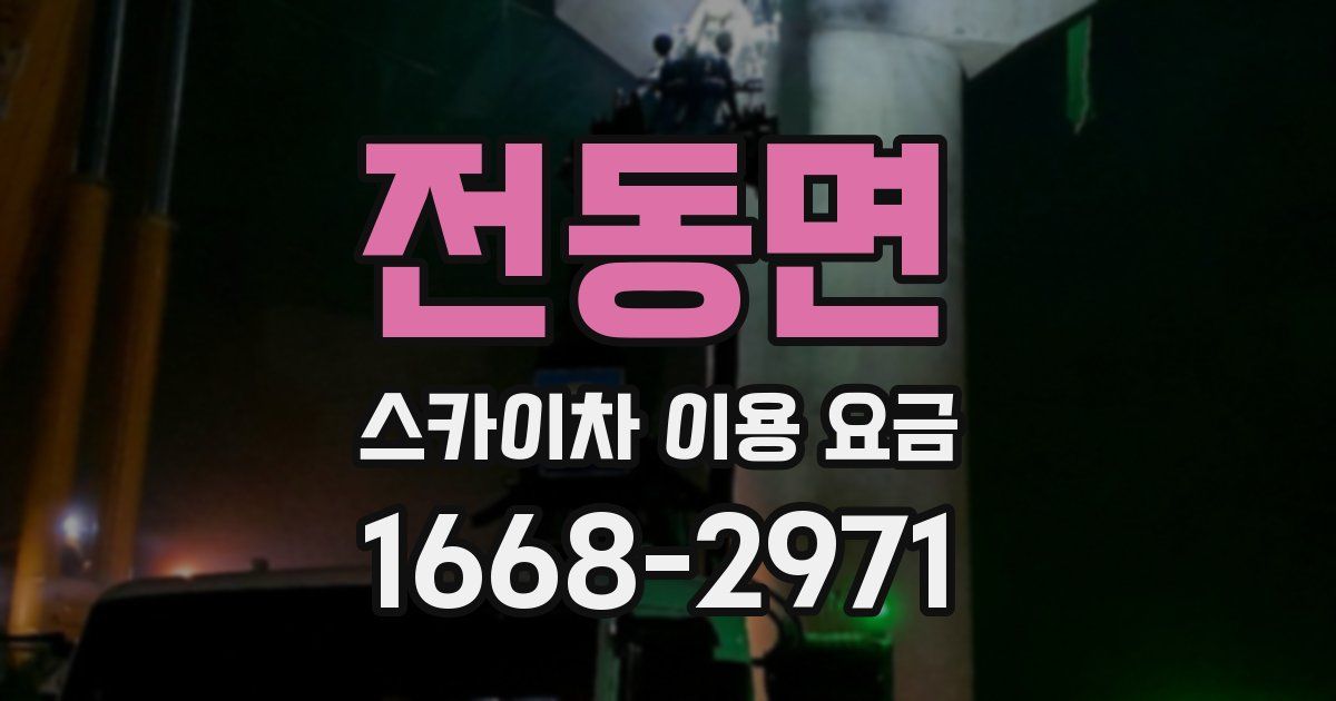 전동면 스카이차 이용 요금