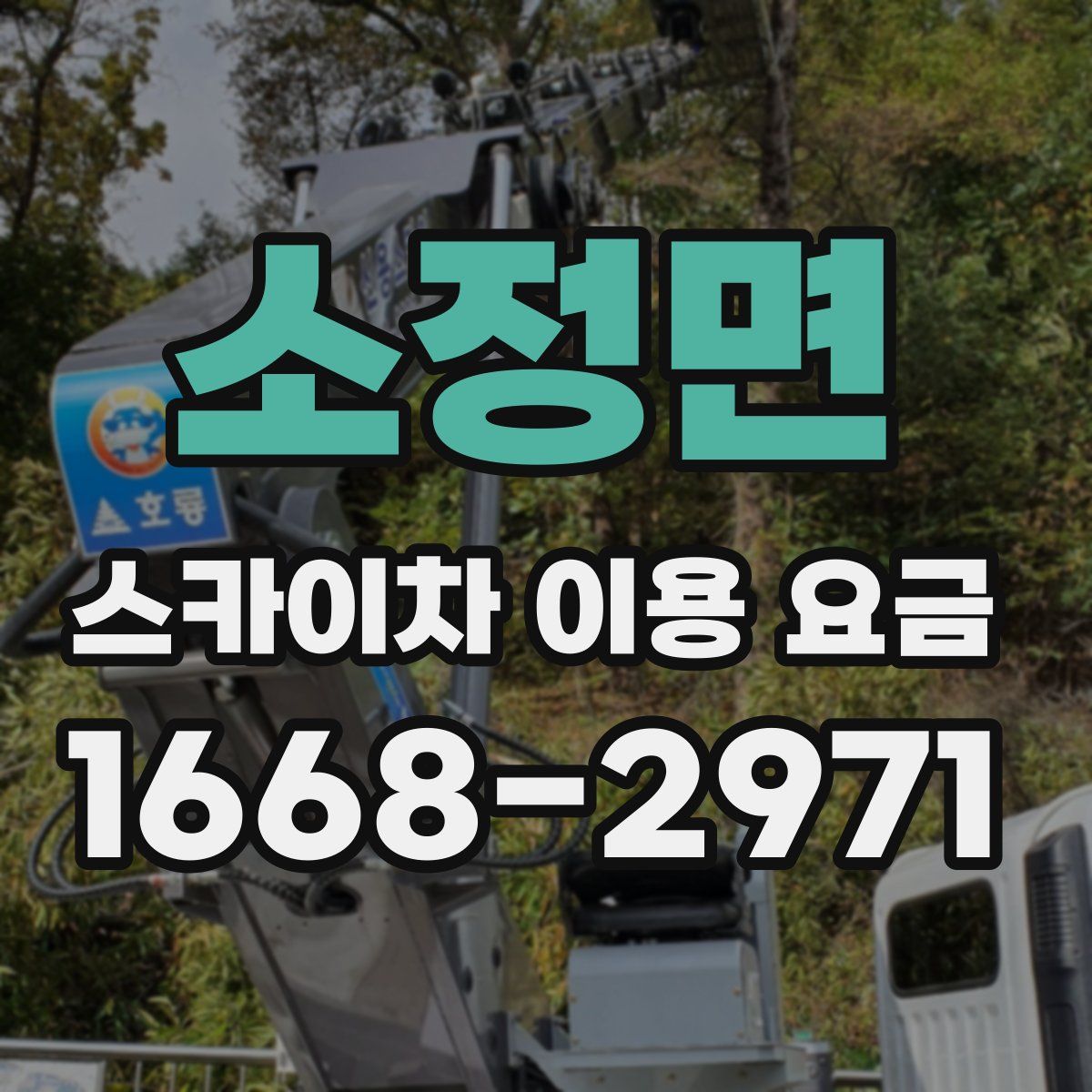 소정면 스카이차 이용 요금