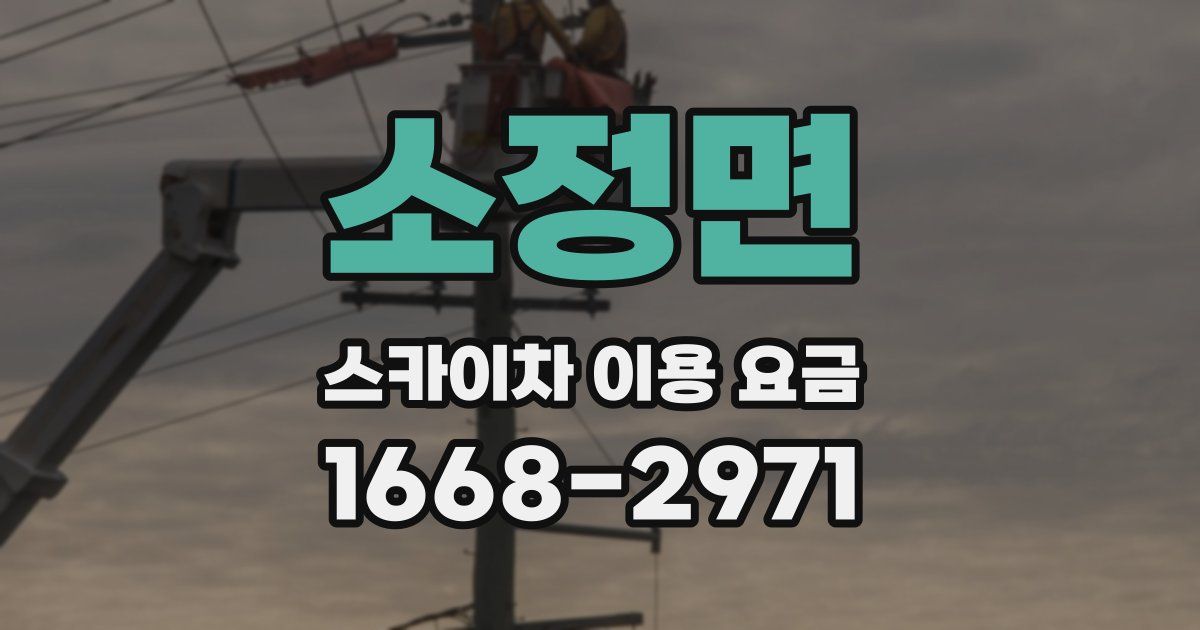 소정면 스카이차 이용 요금