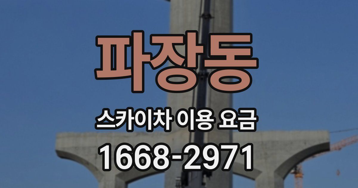 파장동 스카이차 이용 요금