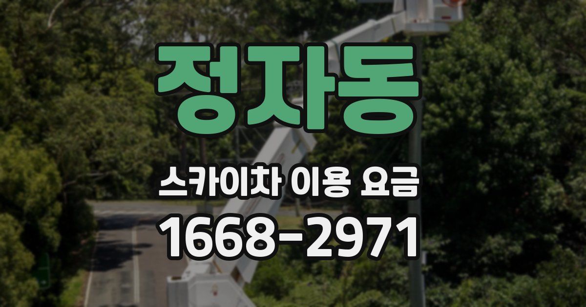 정자동 스카이차 이용 요금