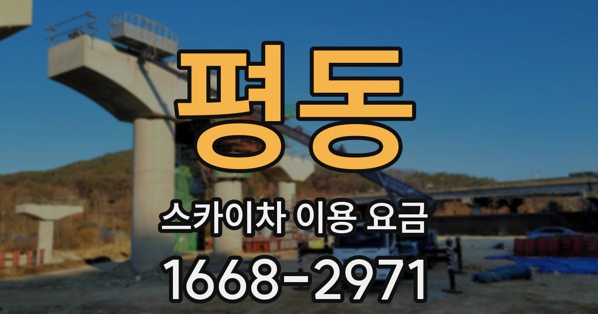 평동 스카이차 이용 요금