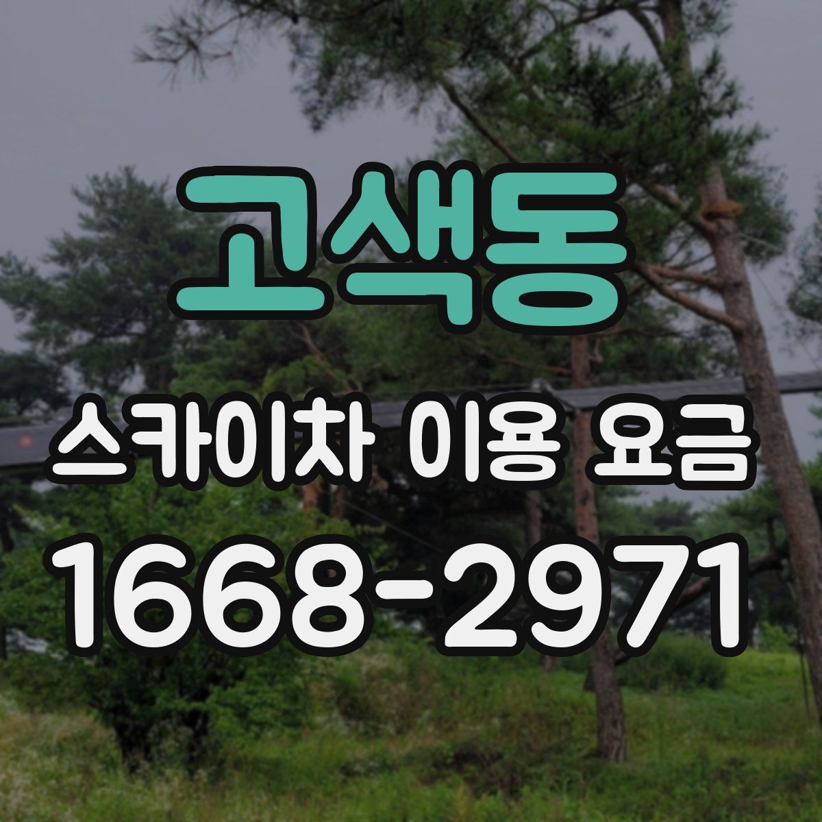 고색동 스카이차 이용 요금