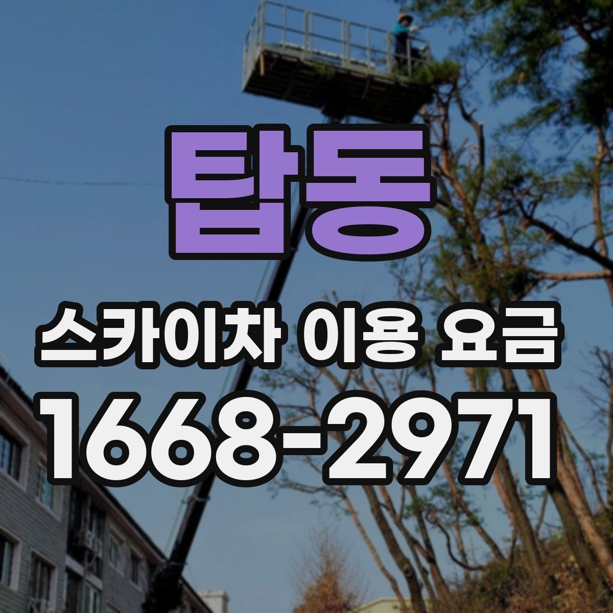 탑동 스카이차 이용 요금