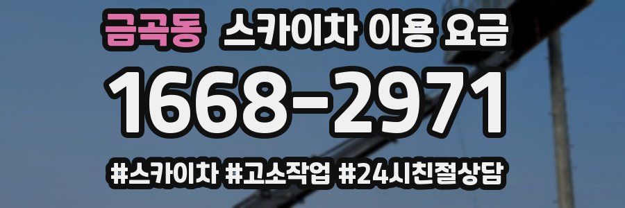 금곡동 스카이차 이용 요금