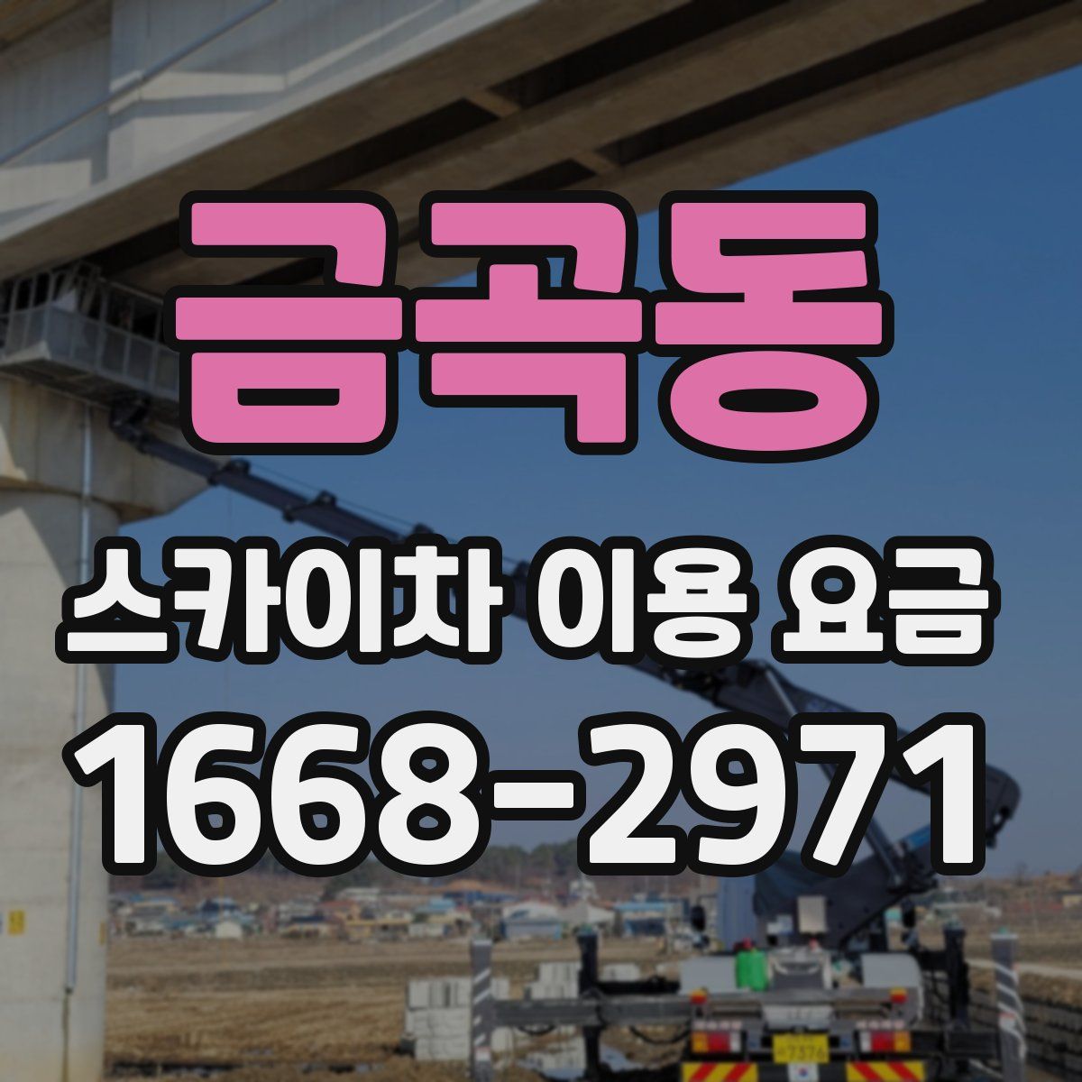 금곡동 스카이차 이용 요금