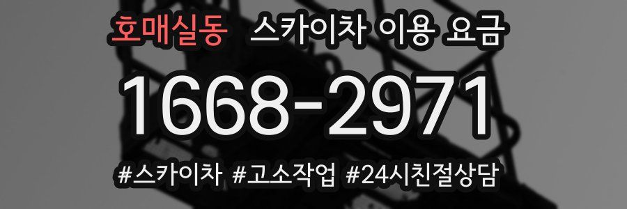 호매실동 스카이차 이용 요금