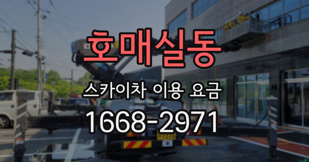 호매실동 스카이차 이용 요금
