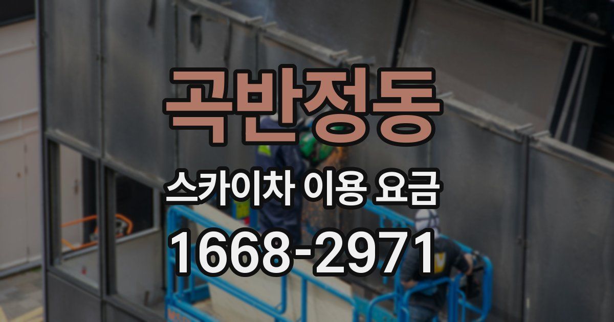 곡반정동 스카이차 이용 요금