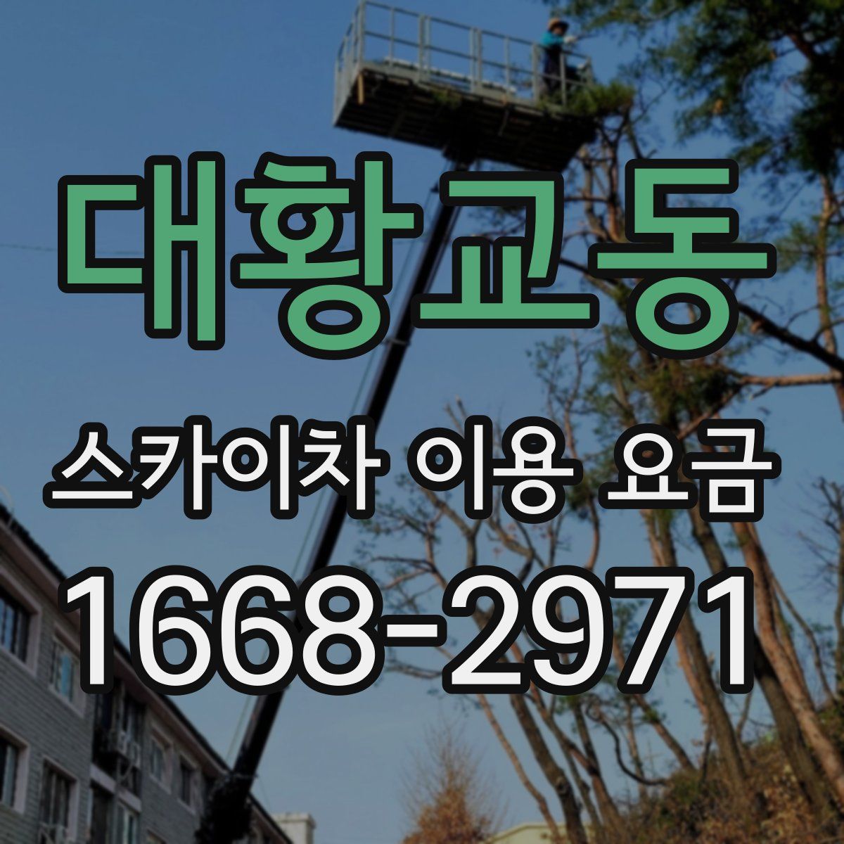 대황교동 스카이차 이용 요금