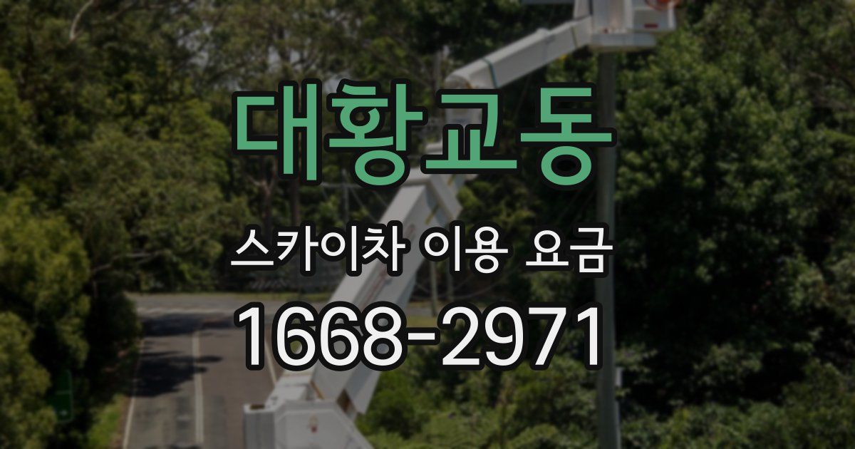 대황교동 스카이차 이용 요금
