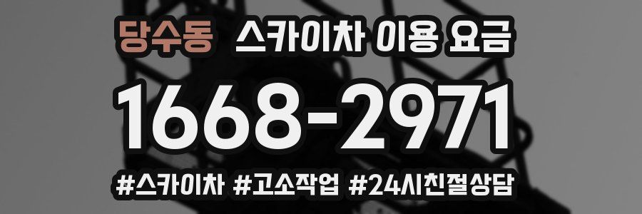 당수동 스카이차 이용 요금