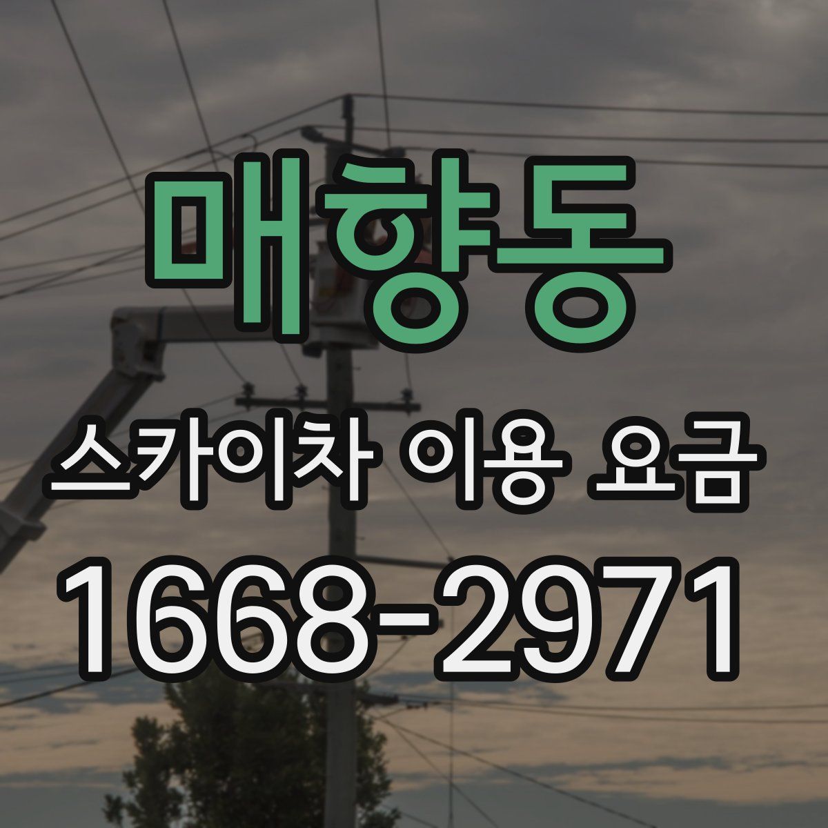 매향동 스카이차 이용 요금