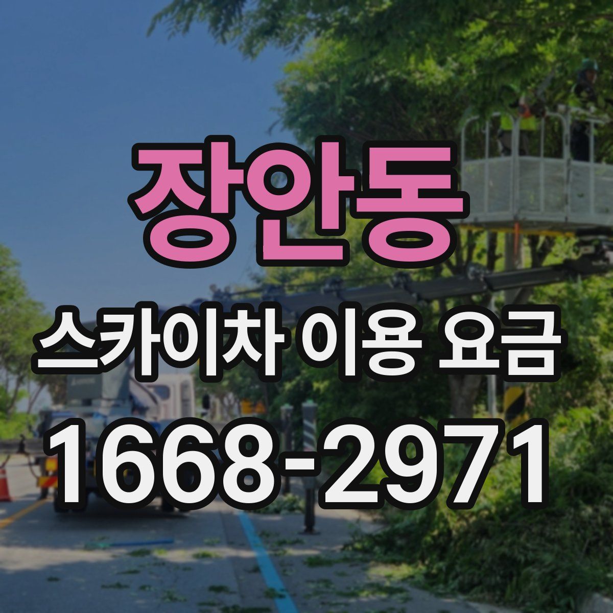 장안동 스카이차 이용 요금